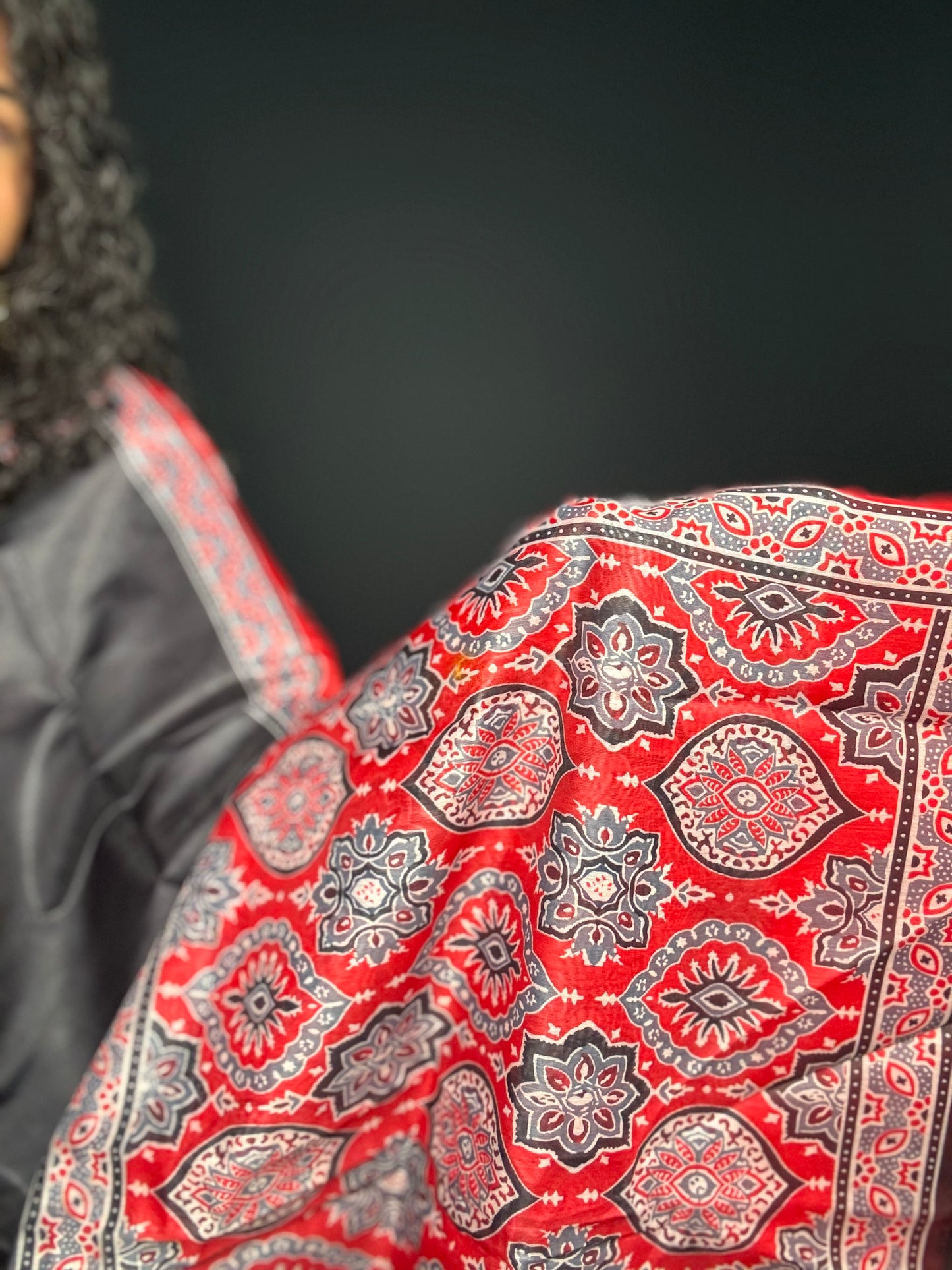 SJN02625 - Red Ajrak print saree